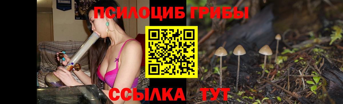 Галлюциногенные грибы Psilocybine cubensis Балашиха