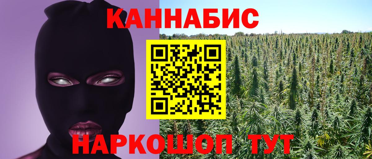 Шишки марихуана семена Балашиха